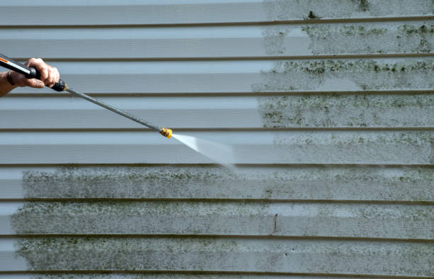 Best Roof Cleaning and Mildew Removal in Meridian, MS